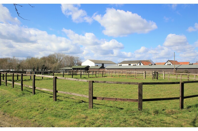 Equestrianproperty4sale 